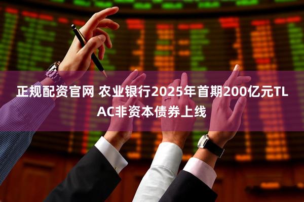 正规配资官网 农业银行2025年首期200亿元TLAC非资本债券上线