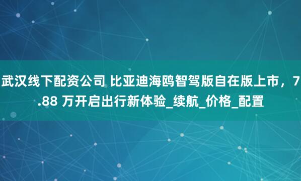 武汉线下配资公司 比亚迪海鸥智驾版自在版上市，7.88 万开启出行新体验_续航_价格_配置