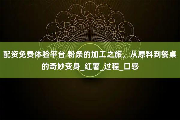 配资免费体验平台 粉条的加工之旅，从原料到餐桌的奇妙变身_红薯_过程_口感